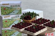 命相测算高速赋能产业升级：一条“杨梅路”的致富密码